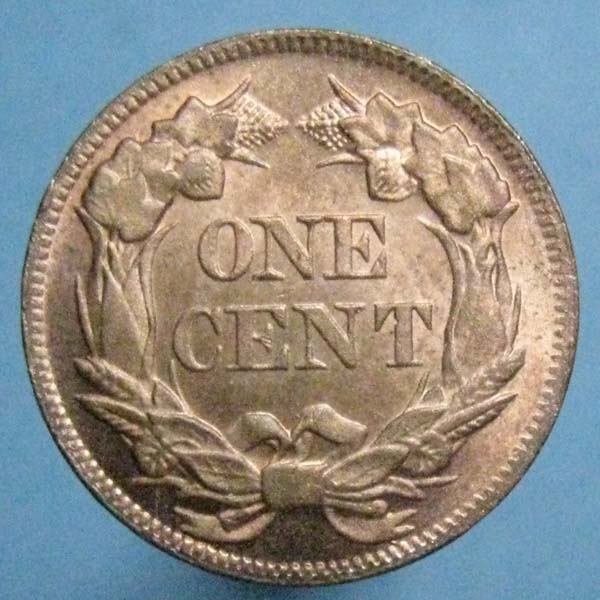 My-1857-Flying-Eagle-Cent-Is-Back-From-NGC-And-It's-Not-Good
